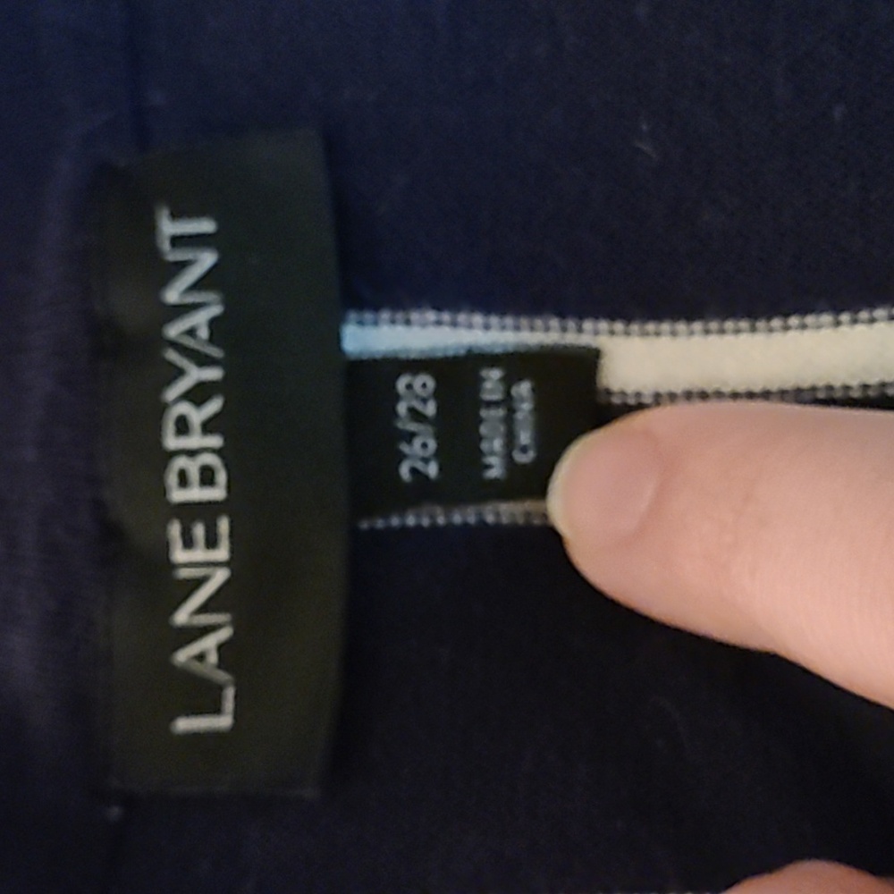Lane Bryant Blue & White V-Neck Striped Sweater - Picture 5 of 6